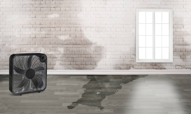 Best Basement water damage restoration  in Kennewick, WA