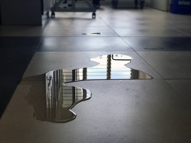 Best Water damage restoration insurance claims  in Kennewick, WA