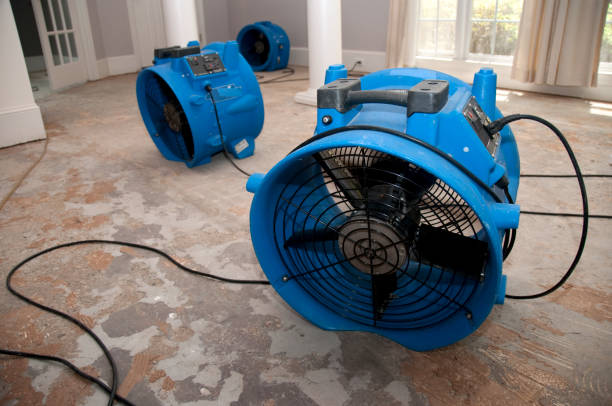 Best Flooded house restoration  in Kennewick, WA