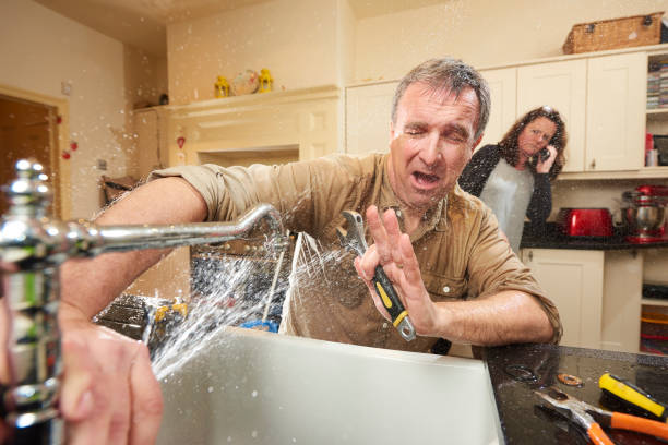 Best Mold removal after water damage  in Kennewick, WA